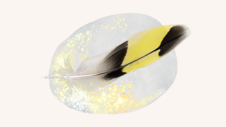 Feathers & Gold series