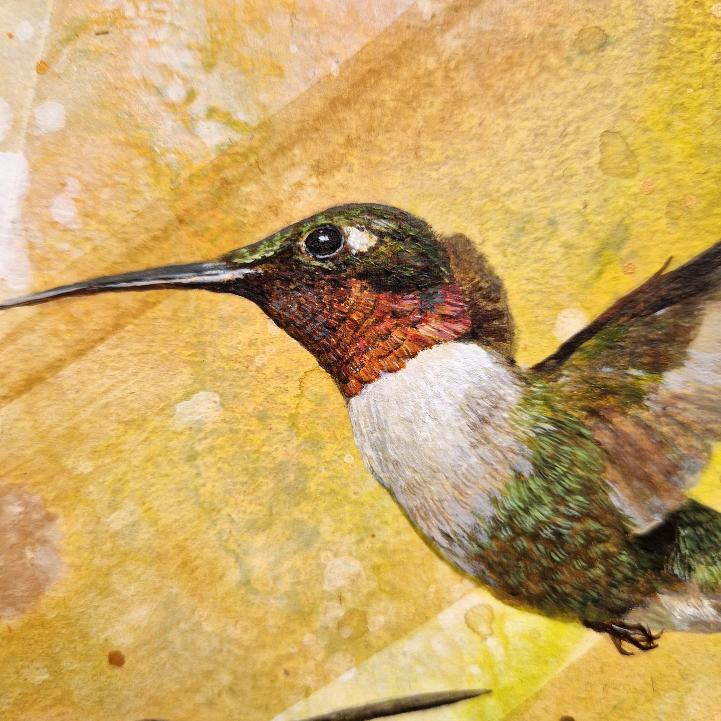 Hummingbird Art Block IV